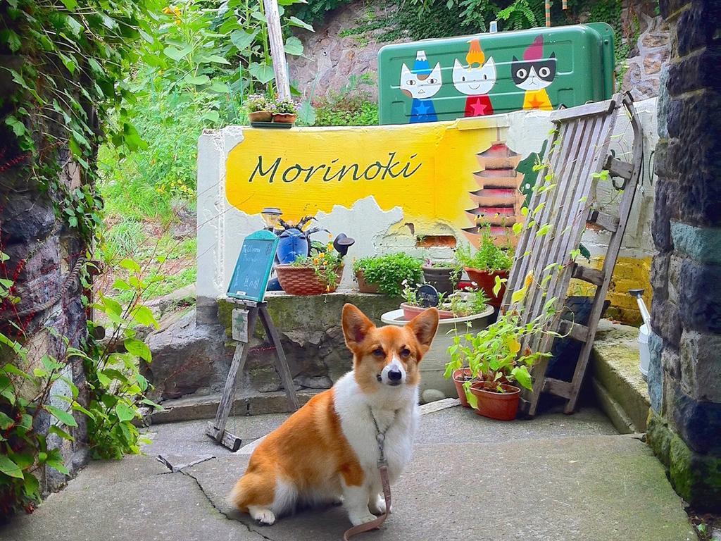 The Otaornai Backpacker'S Hostel Morinoki Отару Екстериор снимка